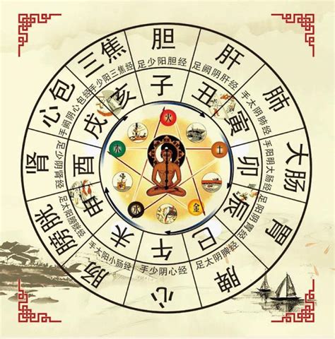 十二时辰对照|古代十二时辰对照表（带拼音及属相）